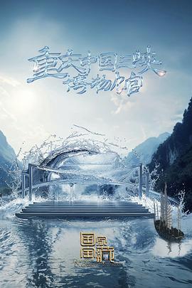 石家庄网站优化发展前景